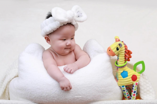 德宏南京助孕公司排行：警惕低价陷阱，品质优先